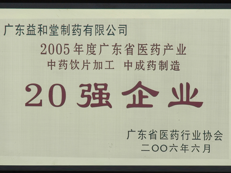 20強企業2005年度